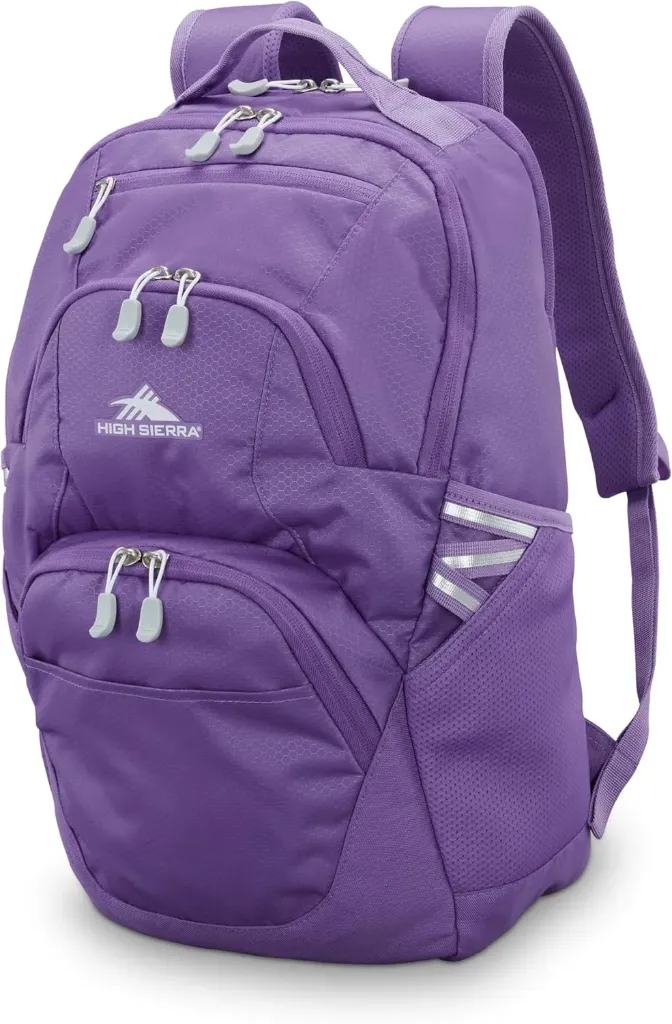[B0DS2WKY61LP] High Sierra Swoop SG Backpack, Travel or Work Laptop Bookbag with Drop Protection Pocket, and Tablet Sleeve, One Size, Light Purple